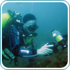 Deep Diver | Wreck Diver